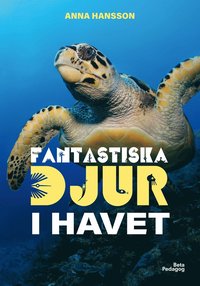 Fantastiska djur i havet