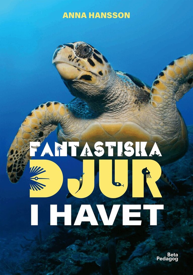 Anna Hansson - Fantastiska djur i havet, Inbunden