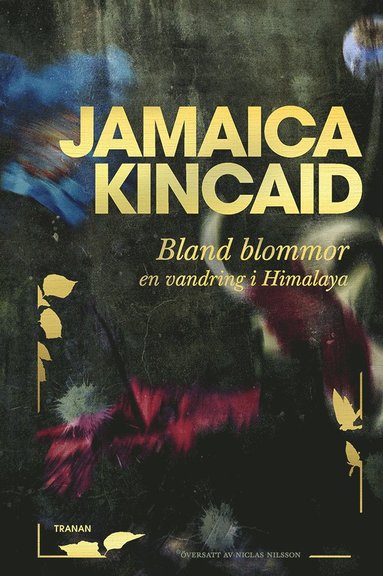 Jamaica Kincaid