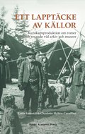 Ett lapptcke av kllor: kunskapsproduktion om romer och resande vid arkiv och museer