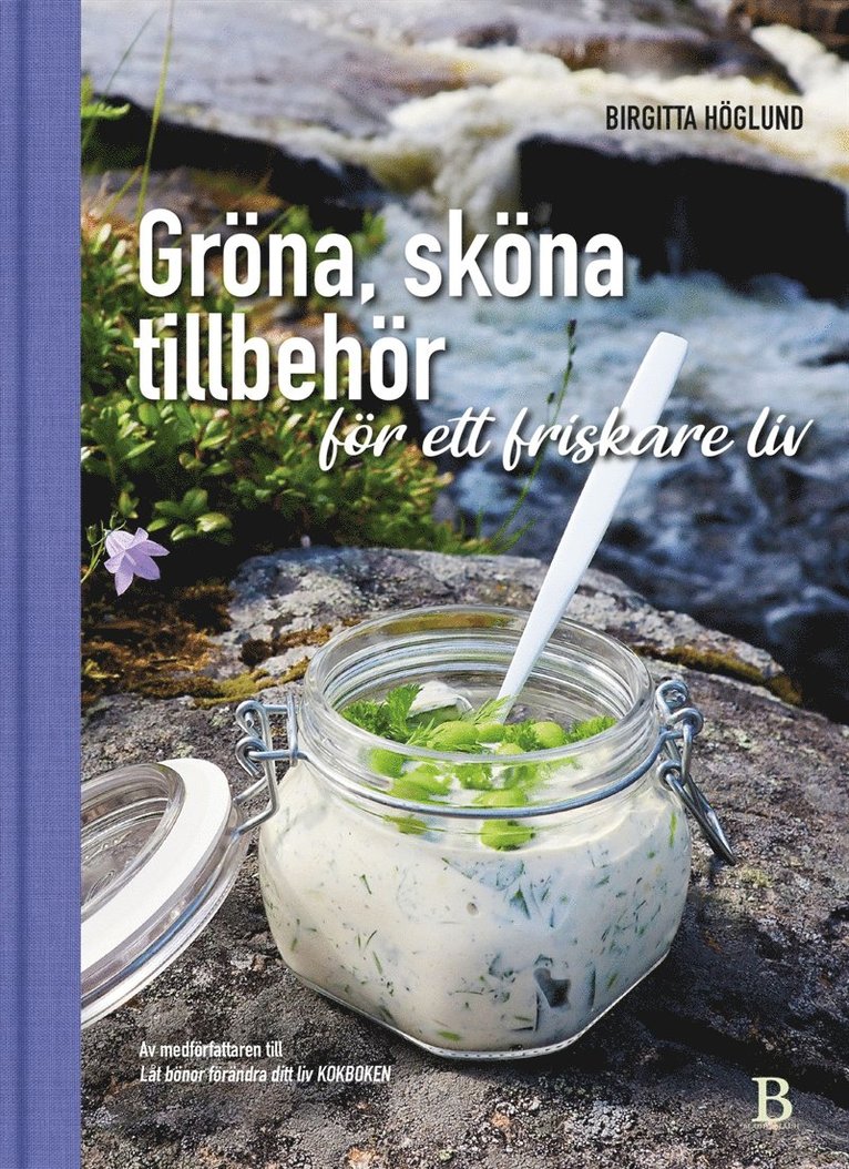 Birgitta Höglund - Gröna, sköna tillbehör för ett friskare liv, E-bok