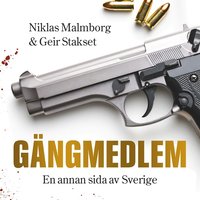 Gängmedlem : en annan sida av Sverige