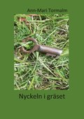 Nyckeln i grset