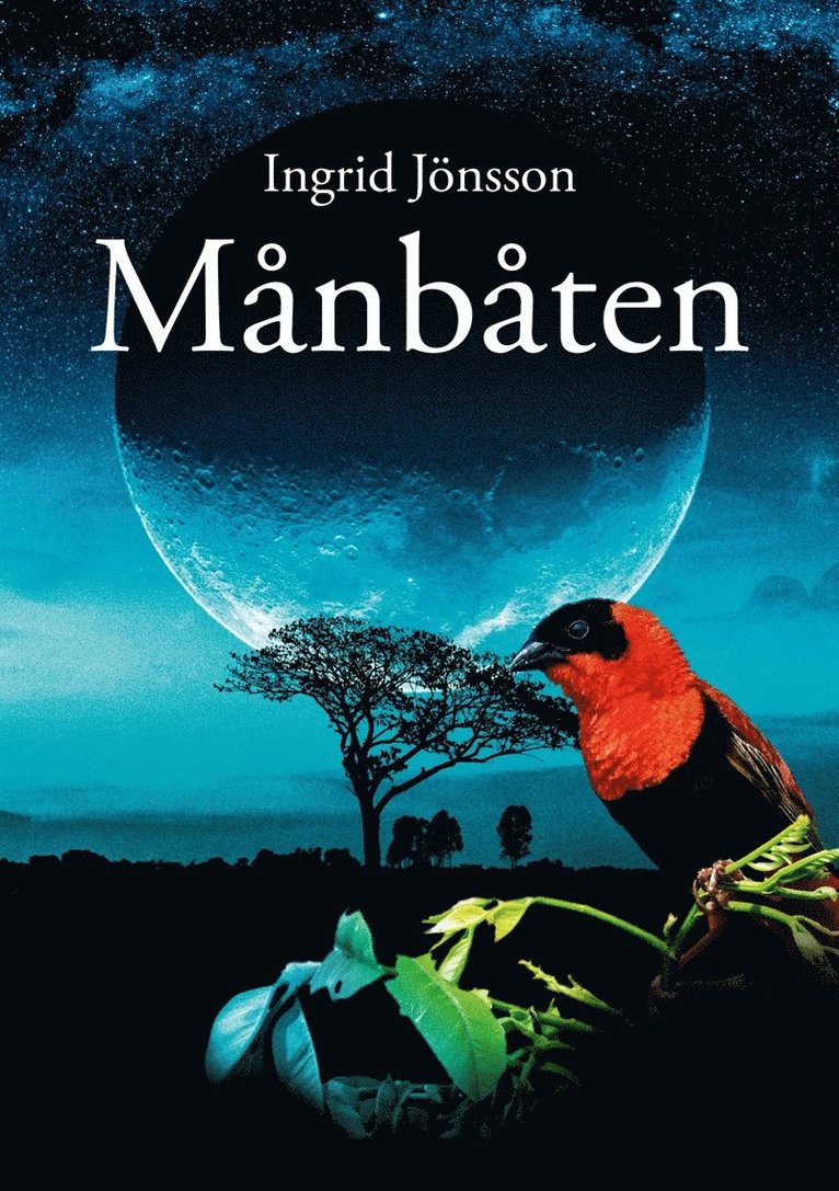 Ingrid Jönsson, Desirée Nöjd - Månbåten, E-bok