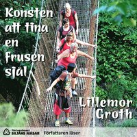 Konsten att tina en frusen sjl