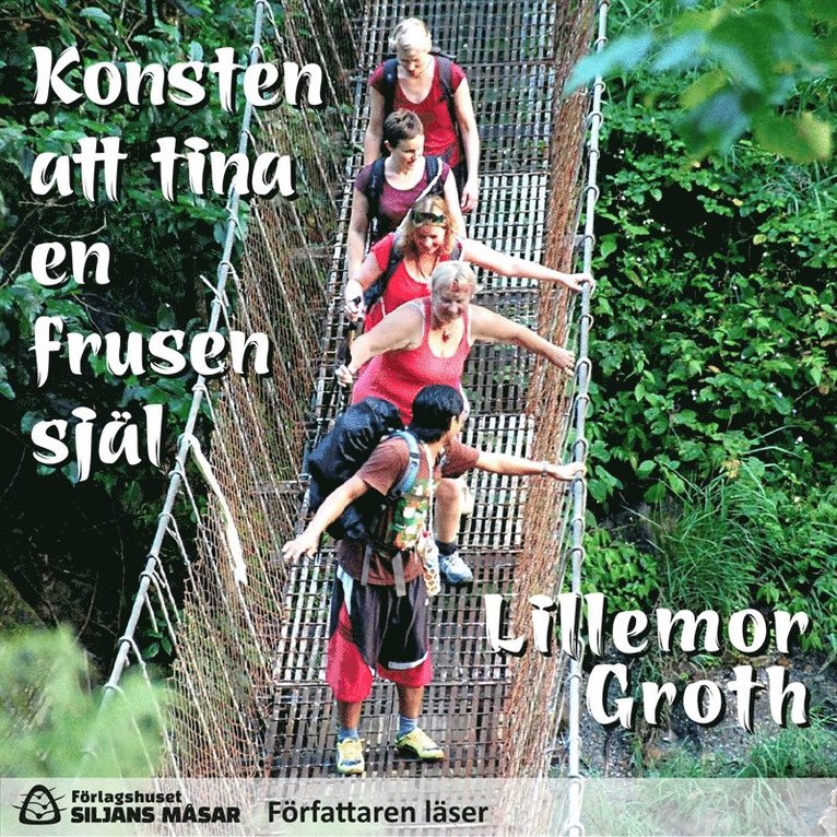 Lillemor Groth - Konsten att tina en frusen själ, Ljudbok