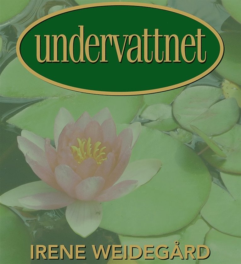 Irene Weidegård - Undervattnet : En magisk livsresa, Ljudbok