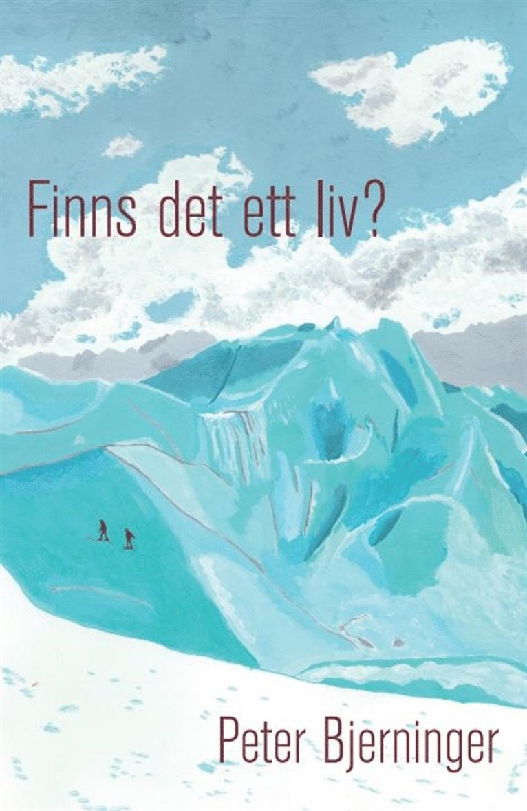 Peter Bjerninger - Finns det ett liv?, E-bok
