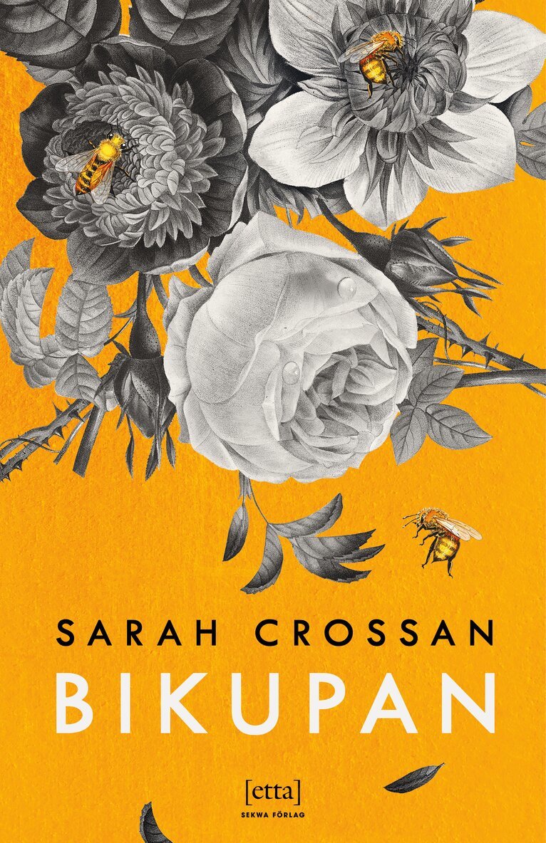 Sarah Crossan - Bikupan, Pocket