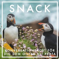 SNACK : Konversationskort f�r dig som gillar att prata (Epub2)