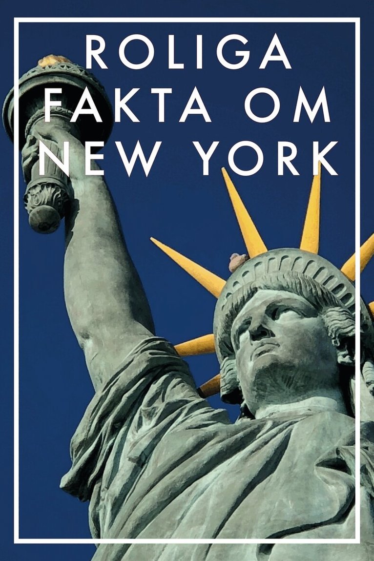 Nicotext Förlag - Roliga fakta om NEW YORK (Epub2), E-bok