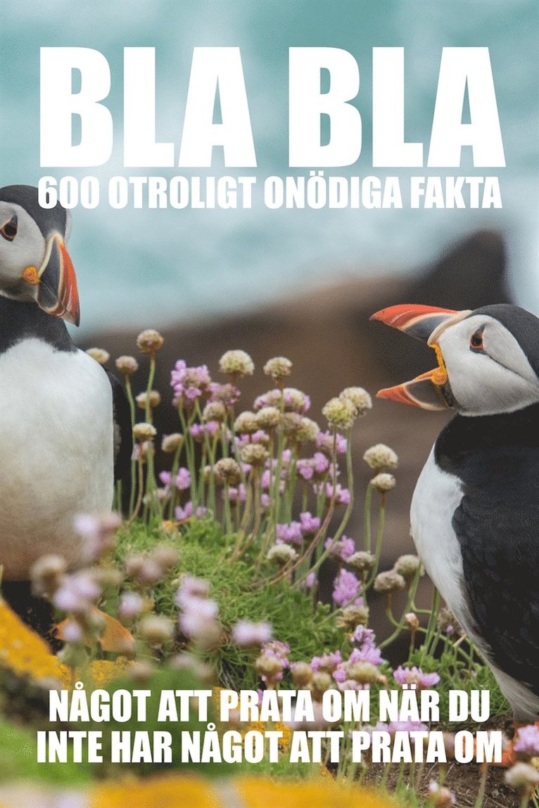 Adam Gustafsson - BLA BLA : 600 otroligt onödiga fakta, E-bok
