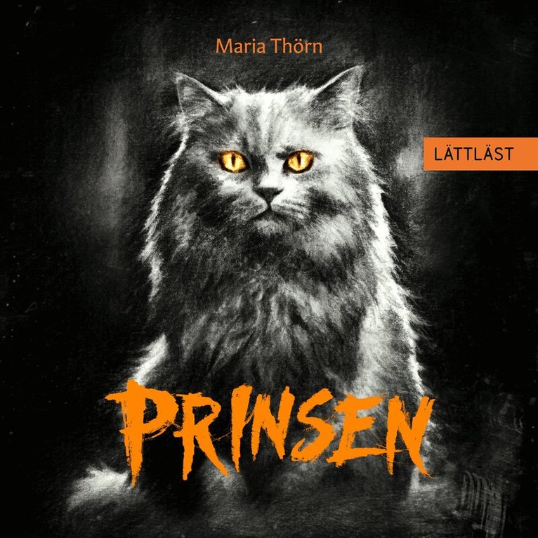 Maria Thörn - Prinsen (lättläst), Ljudbok
