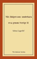 Nils Holgerssons underbara resa genom Sverige II