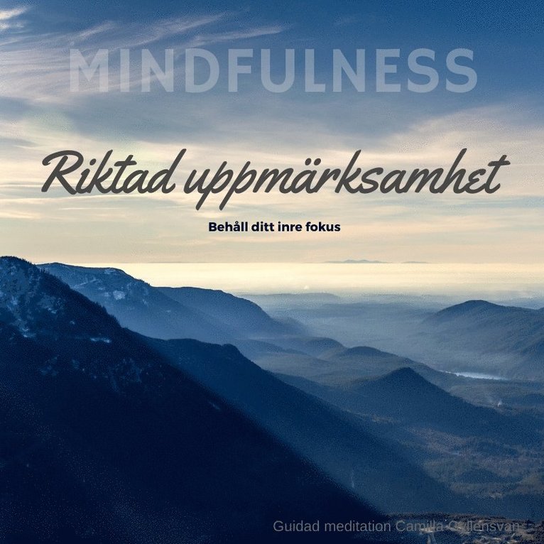 Camilla Gyllensvan - Riktad Uppmärksamhet, Ljudbok
