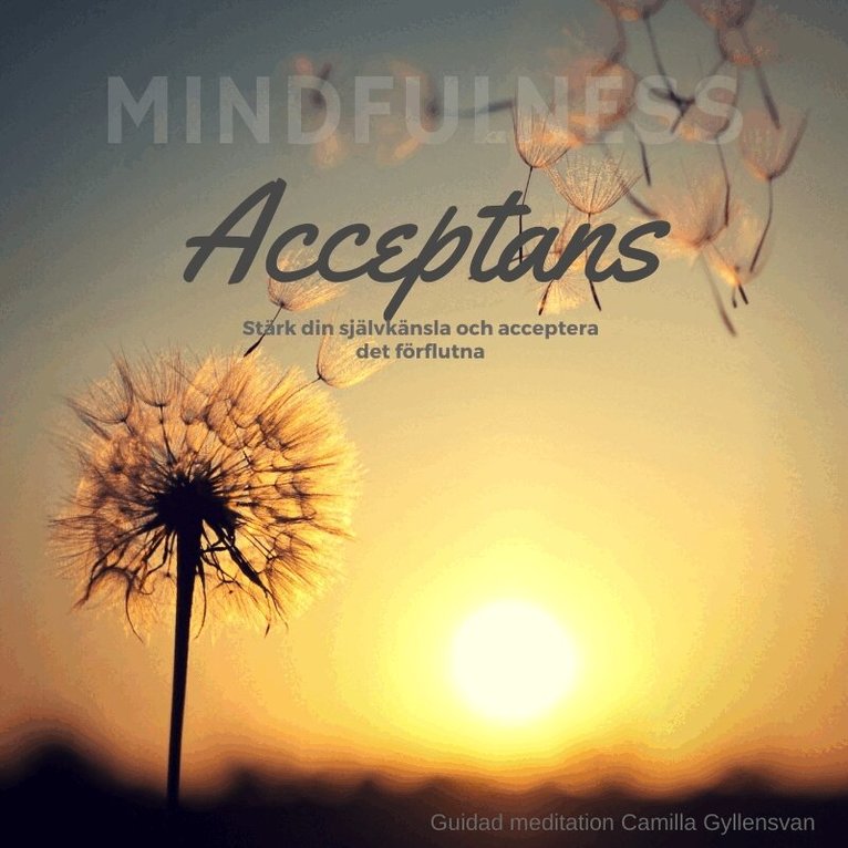 Camilla Gyllensvan - Acceptans, Ljudbok