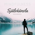 Självkänsla 