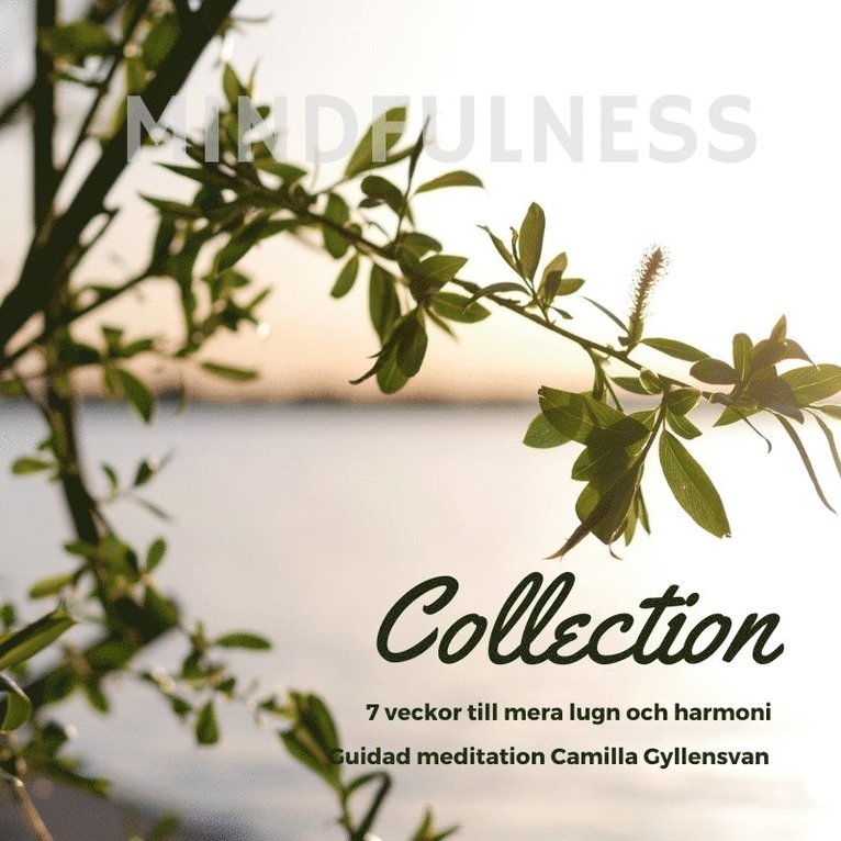 Camila Gyllensvan - Mindfulness Collection - 7 veckor till mer lugn och harmoni, Ljudbok