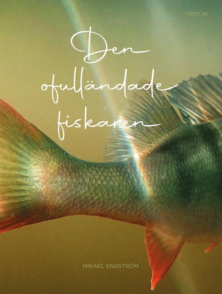 Mikael Engström - Den ofulländade fiskaren, E-bok