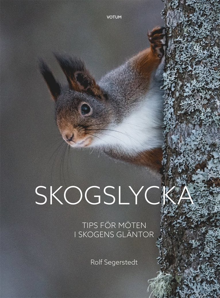 Rolf Segerstedt - Skogslycka: Tips för möten i skogens gläntor, E-bok
