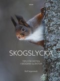 Skogslycka: Tips fr mten i skogens glntor