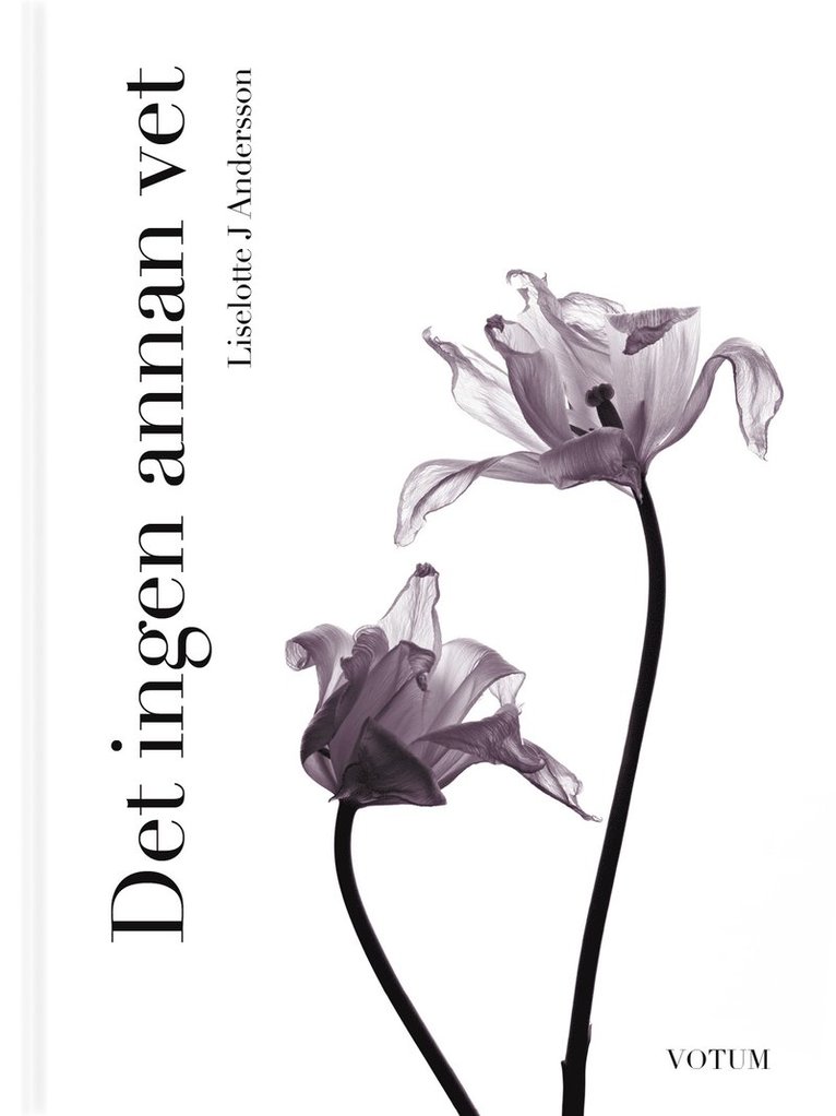Liselotte J Andersson - Det ingen annan vet, E-bok
