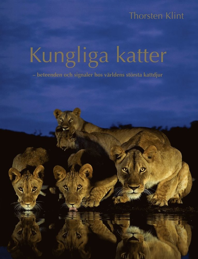 Thorsten Klint - Kungliga katter : Beteenden och signaler hos världens största kattdjur, E-bok