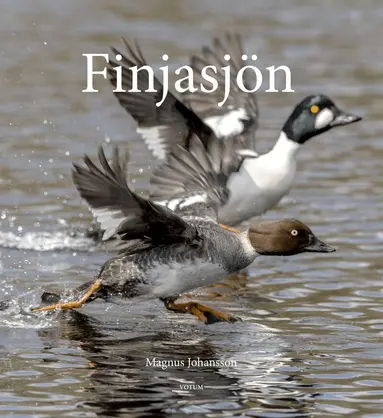 Magnus Johansson - Finjasjön, E-bok