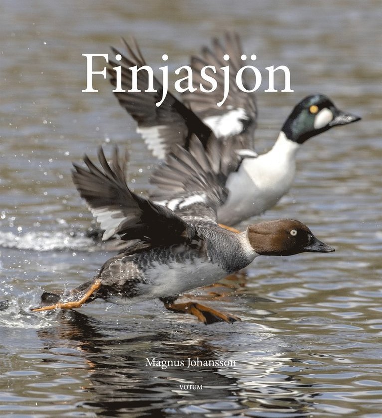 Magnus Johansson - Finjasjön, E-bok