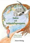 Gudrun och halsbandsflugsnapparen