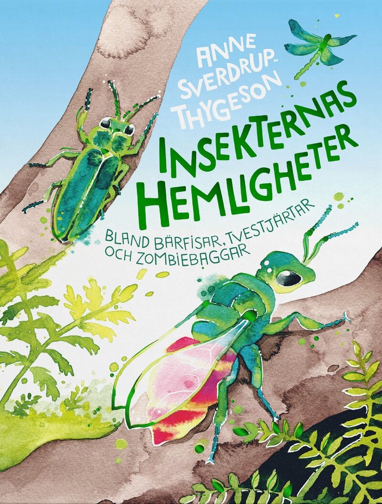 Anne Sverdrup-Thygeson - Insekternas hemligheter : bland bärfisar, tvestjärtar och zombiebaggar, Inbunden