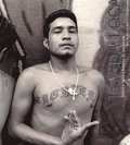 La Vida Loca : Rster Frn Gngens El Salvador