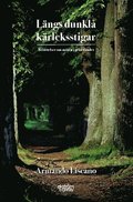 Lngs dunkla krleksstigar : berttelser om mten i grnslandet