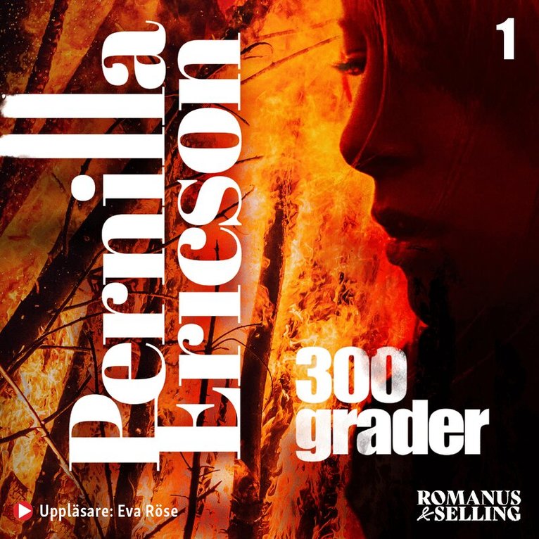 Pernilla Ericson - 300 grader, Ljudbok