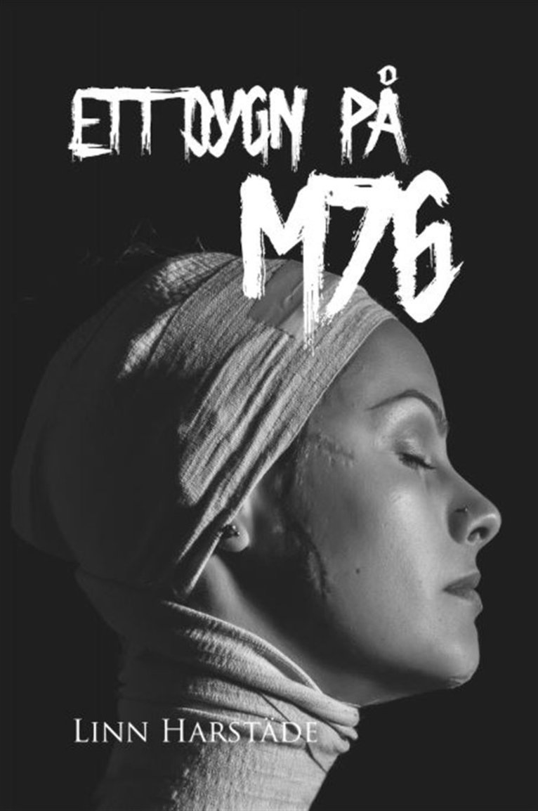 Linn Harstäde - Ett dygn på M76, E-bok