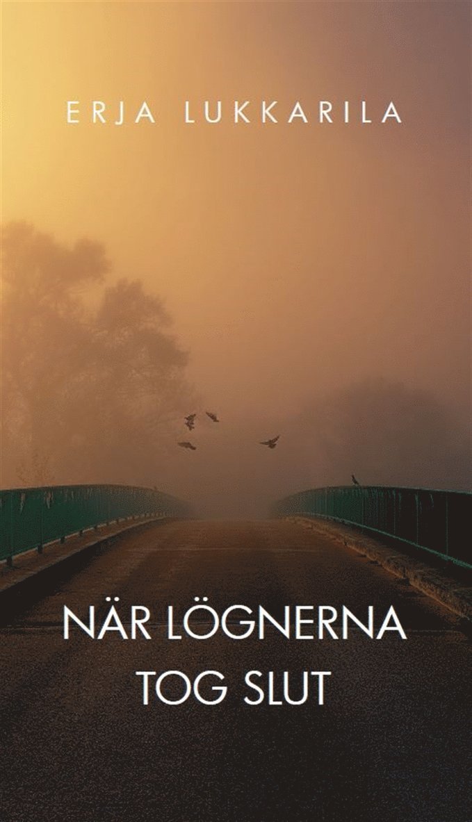 Erja Lukkarila - När lögnerna tog slut, E-bok