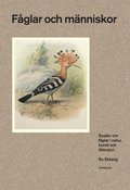 Fåglar och människor : essäer om fåglar i natur, konst och litteratur