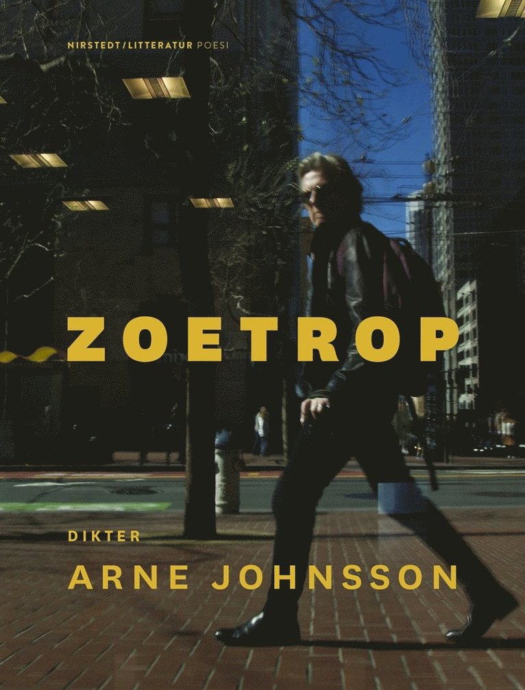 Arne Johnsson - Zoetrop, E-bok