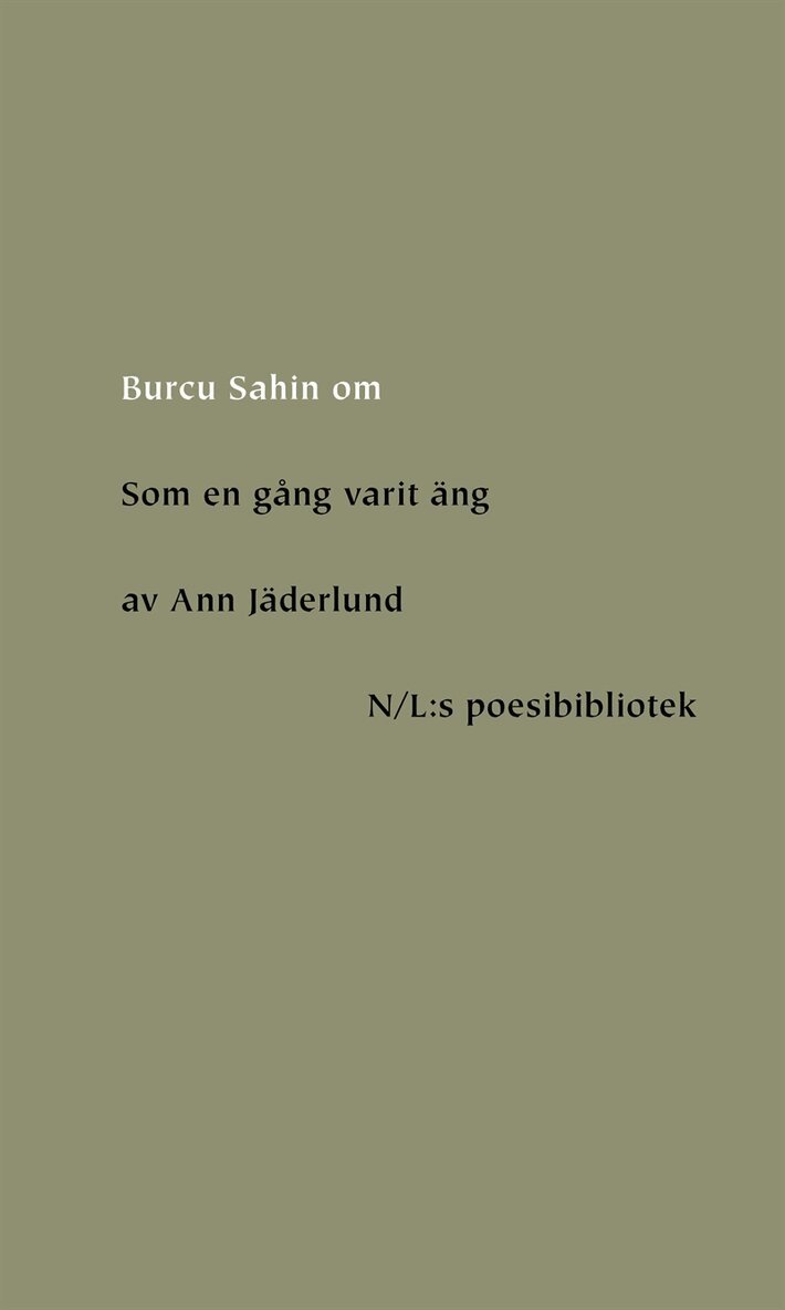 Burcu Sahin - Om Som en gång varit äng av Ann Jäderlund, E-bok
