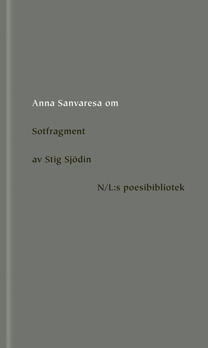 Anna Sanvaresa - Om Sotfragment av Stig Sjödin, E-bok