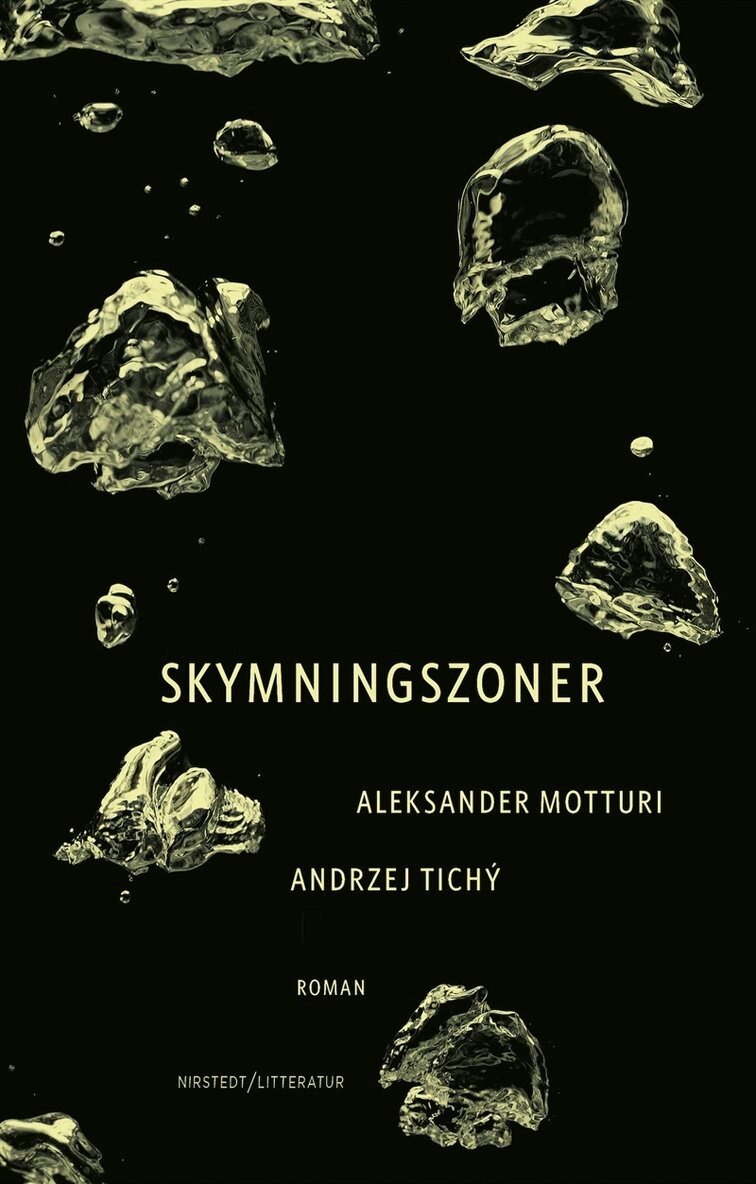 Aleksander Motturi, Andrzej Tichý - Skymningszoner, E-bok