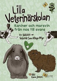 Lilla veterinärskolan - kaniner och marsvin från nos till svans