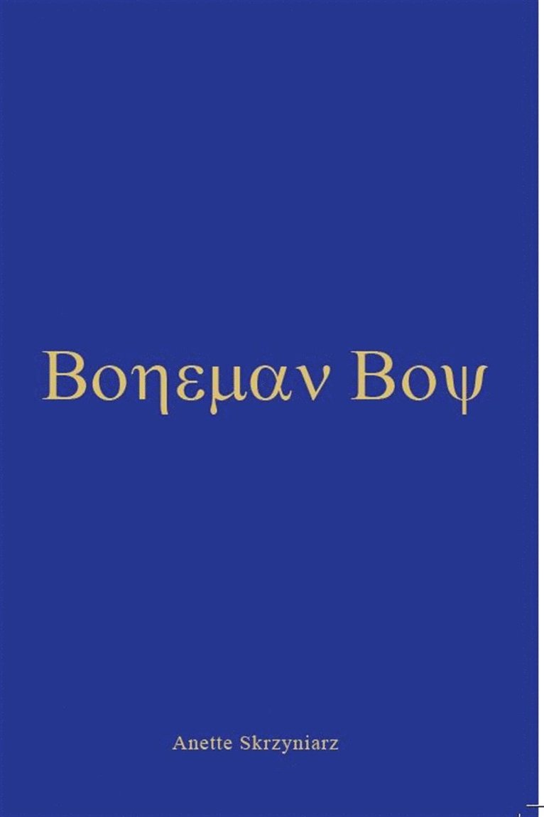 Anette Skrzyniarz - Boheman boy, E-bok