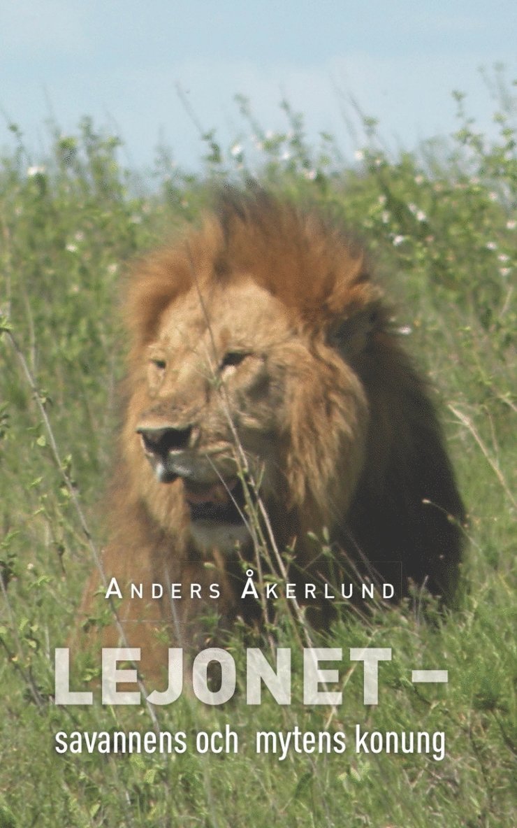 Anders Åkerlund - Lejonet : savannens och mytens konung, Häftad