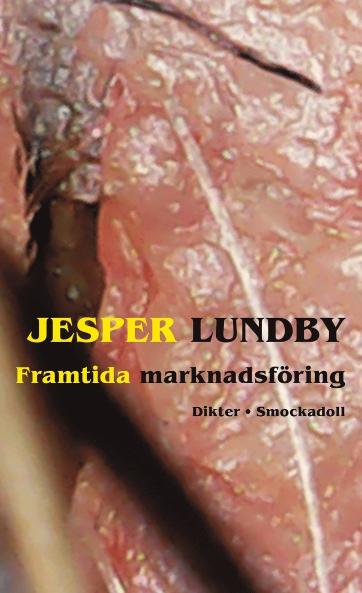 Jesper Lundby - Framtida marknadsföring, E-bok