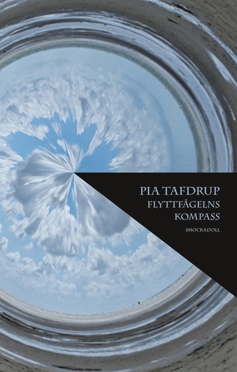 Pia Tafdrup - Flyttfågelns kompass, E-bok