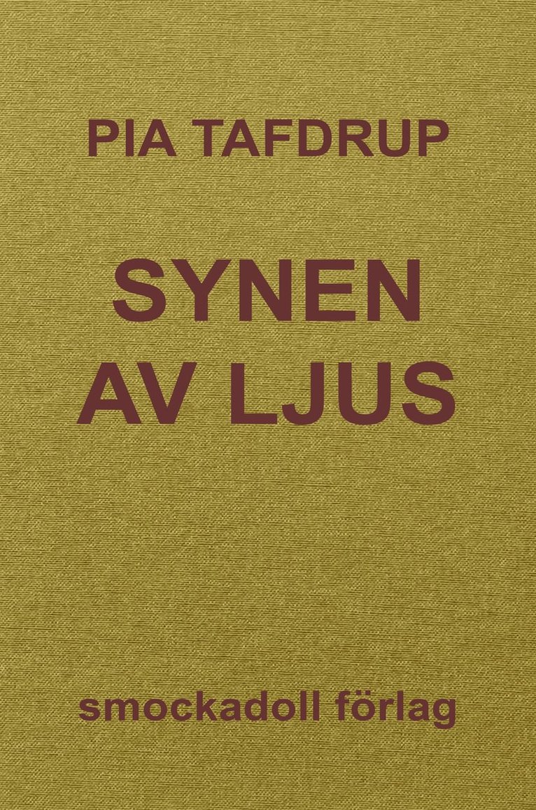 Pia Tafdrup - Synen av ljus, E-bok