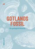 Gotlands fossil - en geologisk historia