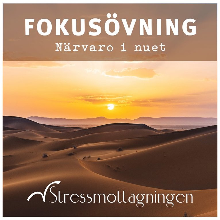 Stressmottagningen - Fokusövning – Närvaro i nuet, Ljudbok