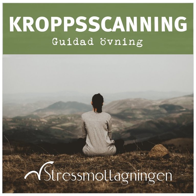 Stressmottagningen - Kroppsscanning – Guidad övning, Ljudbok